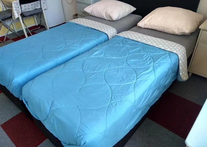 Bed And Breakfast Amsterdam Holy Dove